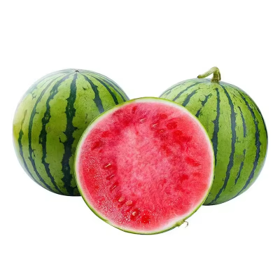 Premium Quality Seedless Watermelon Juicy Red Flesh Fresh Sweet Melon Directly From the Farm Perfect Summer Fruit for Wholesale
