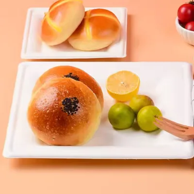 100% Eco-biodegradable Bagasse Food Containers Naturally Compostable Microwave Snack Ware Sushi Pizza Eco-friendly