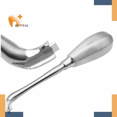 Autoclavable Stainless Steel Dental Crown Splitter/Remover Crown Elevator Spreader for Dentist Partner Surgical Instruments