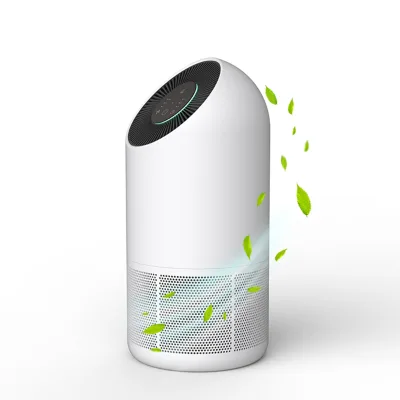 Invitop Electric Bladeless Fan Negative Ion Private Label Air Purifier for Allergies, Pet Hair, Pollen in Bedroom