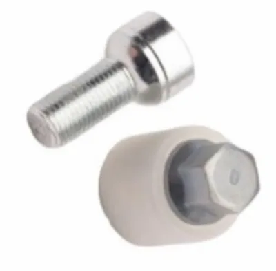Tire Anti-theft Lug Nuts / Q 4F0698139C-Q