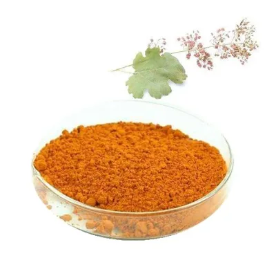 Fairir Wholesale High-Quality Natural Macleaya Cordata Extract