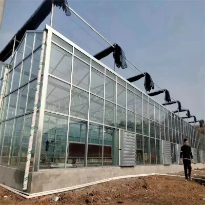 Easily Installed Agricultural Commercial Green House Shed Breeding Greenhouse for Chicken and Duck