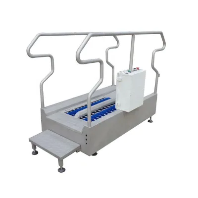 BOMEIDA Hygiene Station Boots Washing Machine with Cold Water Spray Cleaning Metal Construction for Food Processing
