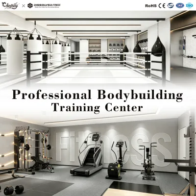 Adjustable Gym Equipment One-Stop Project Solution Solution Plate Loaded Machines Free Weight Profession Compact Gym Equipment