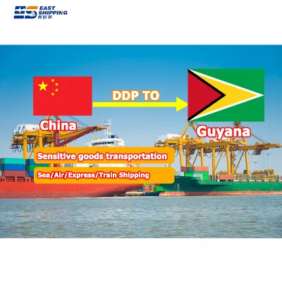 China Express Shipping Agent Guyana Ecuador Mexico Venezuela Colombia Netherlands Dominican Republic FOB Freight DDP Forwarder