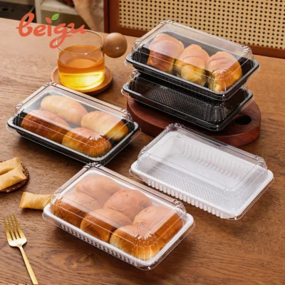 Disposable Eco-Friendly PET Plastic Packaging Box for Baking Bread Pastries Meat Floss Small Buns Cream Puffs & Cakes