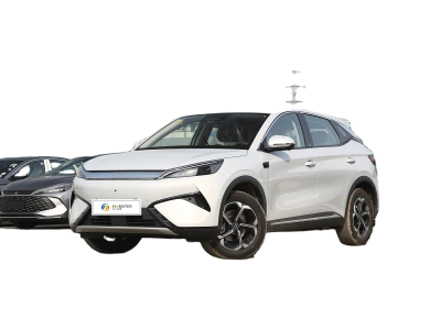 China Car Nice Car Good Car Cheap Car Popular Car
