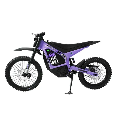 High Speed Electric Dirt Bike 96V 6000W 30Ah Full Suspension CST Fat Tire Offroad Electric Motorcycle OEM ODM Wholesale
