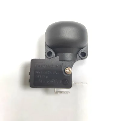 Wholesale Household Appliances 125/250VA Electric Heater Microswitch