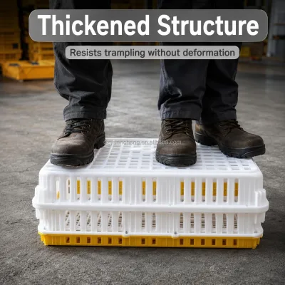 Large Stock for Plastic Poultry Chick Transport Cage for Transport Live Chickens Turnover Box for Bird Pet