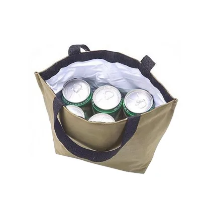 Wholesale Cheap Custom Eco-Friendly 600D Insulated Foldable Beach Lunch Cooler Bag for Men for Cans