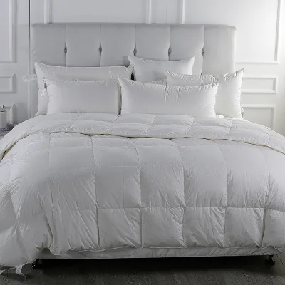 Hotel Duvet Winter Comforter Double King Size Home Quilt Core Wholesale Duvets Microfiber Comforters 100% Polyester
