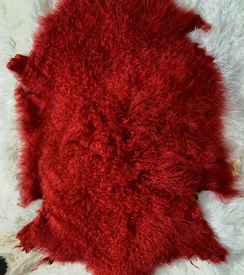 Good Long Curly Hair Mongolian Lamb Skin Fur Garment Scarf Collar Use Sheepskin Fur Colors With Snow Tips