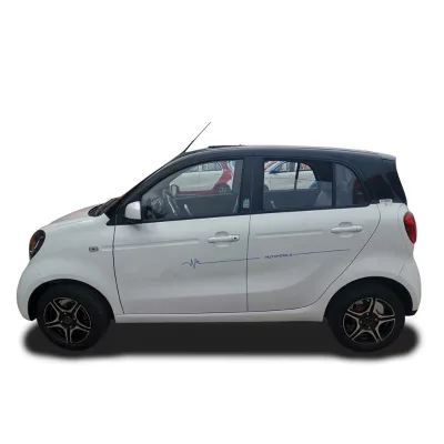 Passenger Mini Electric Car Made in China