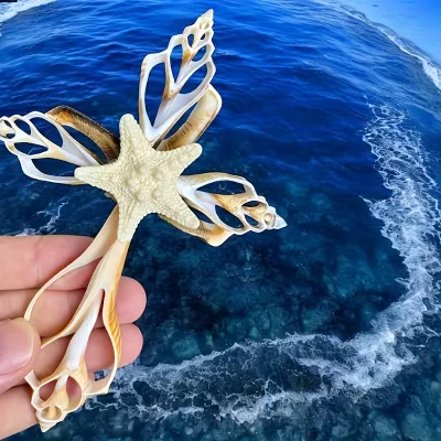 Handmade Shell Cross Ornaments - Starfish Sea Shell Charms with 5-Pointed Star Cross, Religious Holiday Gifts