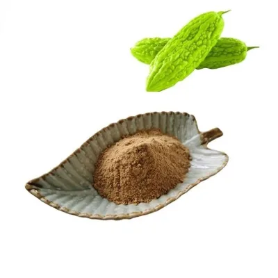 Top Quality Food Supplement Bitter Melon Extract Powder Bitter Melon Extract 10% Charantin