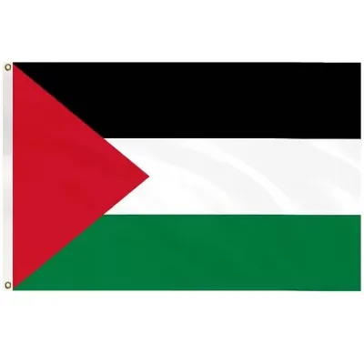 Custom Factory Palestine Flag 3*5ft 90*150cm Palestine Country National Flag for Promotion Advertising