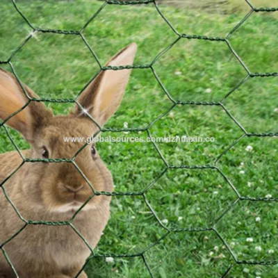 Rabbit wire netting with 13mm hole, used as light fencing for poultry farms, birds cages