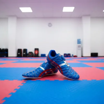 Unisex Taekwondo Shoes with Other Outsole Material for Children Adults & Beginners-No US Sizes Made in China