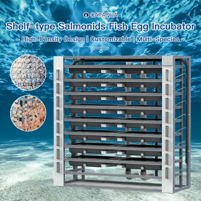 High-Density Modular Automatic Fish Incubator for Hatching Mud Crab Farming Box with Submersible Heater for Saltwater Hatchery