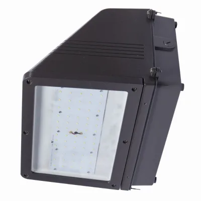 Aluminum Body Clear Lens Architectural Signage Billboard Illumination High-Power LED Wall Packs Lighting