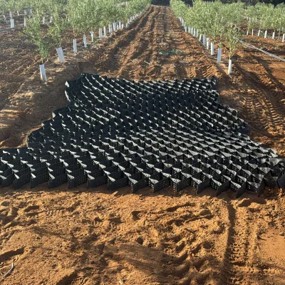 Geocell Gravel Grid Geocell Ground Paver Concrete for Road Slopes Water Storage Tank