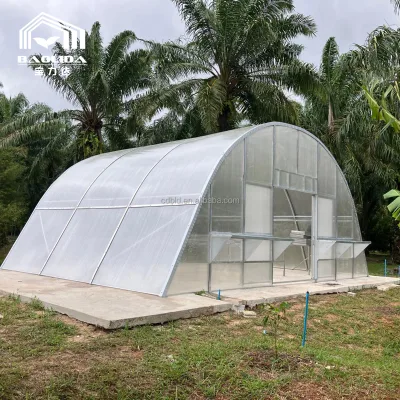 Large Multi-Span Agricultural Polycarbonate Greenhouse PC Sheet Solar Dryer for Drying Meat and Plants