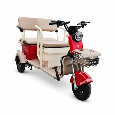 Electric Passenger Tricycle 500W 48V 60V 72V Open Frame 2 Seat Leisure E-Trike with Digital Display Hydraulic Front Fork