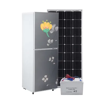 New Design Flower Print Brand DC Compressor 270 Liters Bottom Freezer Solar Battery Electric Stainless Steel Outdoor Household