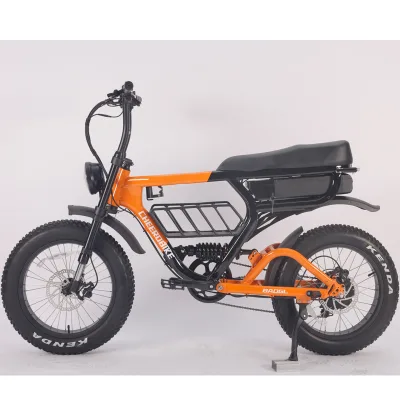 Factory OEM 52V Fat Tyre Dual Motor 1000 Watts Dual Battery Bike Electric