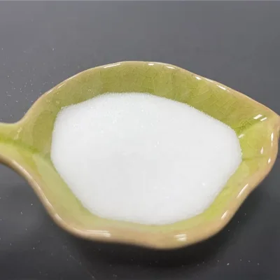 White Powder Acrylic Resin for Ceramic Varnish Degussa P24