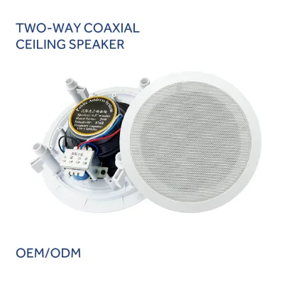 In Ceiling Speaker Ultra-Thin 6.5" 20 Watt 2-way Coaxial Loudspeaker 2 Way Speaker with 100V/70V Transformer