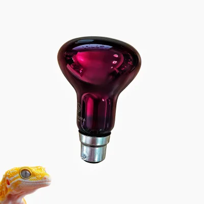 Low Energy Consumption 150W B22 220-240W Infra Red Basking Lamp Reptiles Heat Bulb for Lizard