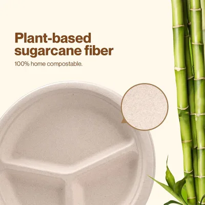 Best-selling Biodegradable and Environmentally Friendly 9-inch 3-compartment Plates for Takeout and Fast Food Restaurants