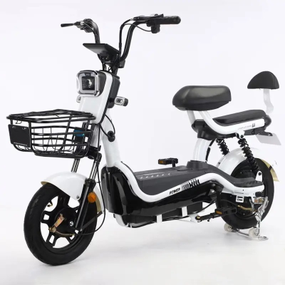 Popular Electric Scooters 500W Electric Moped Scooters with Two Wheels 48V 20Ah Newest Electric Bicycle