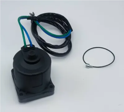 Boat Motor Spare Part Power Tilt Trim Motor 434496 438529 43853 434495 5005376