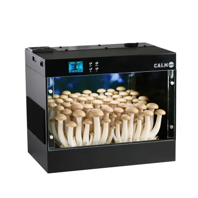 Smart Metal Mushroom Grow Box Eco-Friendly Humidity Control Mist Spray Grow Light Time Record Automated Mushroom Cultivation