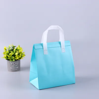 3D Bottom Non-Woven Thermal Bags - Leakproof & Foldable for Restaurant Bulk Orders