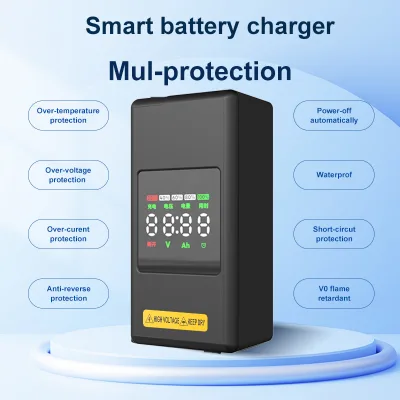 Durable 60V 3A Lead-Acid Battery Charger T300A-6003 for Motorcycle Industrial Use OEM/ODM