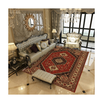 Traditional Oriental Area Rug Non-Slip Distressed Vintage Area Rug for Door Mat Entryway Bedrooms Decor Carpet