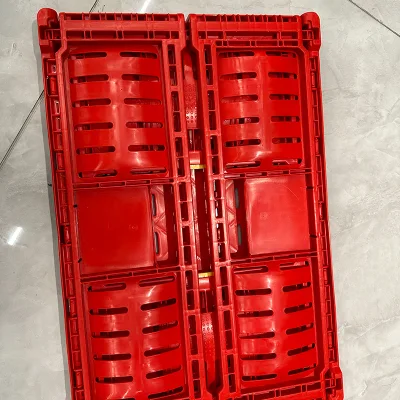 Wholesale Plastic Folding Shopping Basket Supermarket Store Rack Vegetable Basket with Box Design