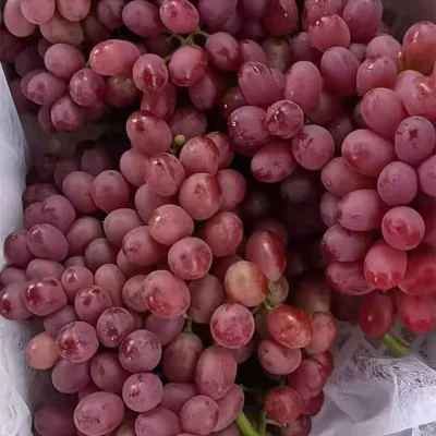 Chinese Super Sweet Delicious Red Globe Grapes