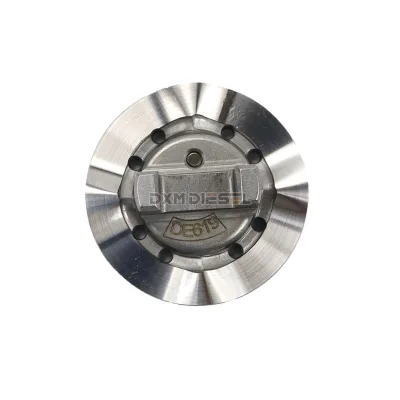 DXM Diesel Engine VE Pump Parts Cam Disk 1466110-619 1466110619