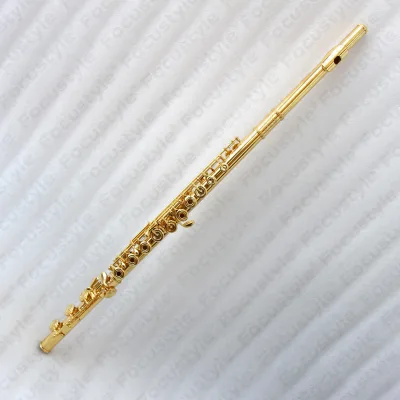 FOCUS Professional 17-Hole Silver Transversal Flute High-End Gold-Plated Musical Instrument Factory Price 17 Open Hole Flute