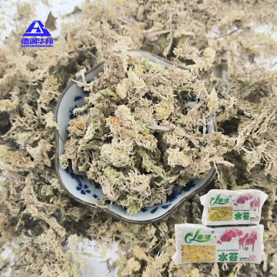 Sphagnum Moss for Fish Tanks Amphibian Habitats Plant Photosynthesis Enhancement