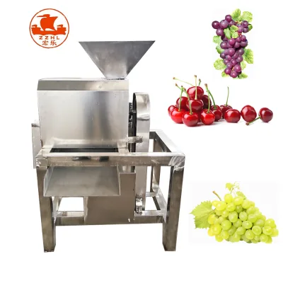 Industrial Fruit Juice Sauce Making Pulping Machine High Efficiency Stainless Steel 120kg/h Capacity Water Compatible