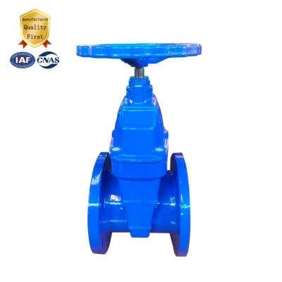 China Valve Manufacturer Di Dn100 150 Class Pressure Rubber Gate Valve Price
