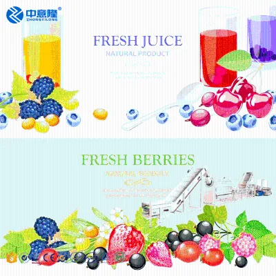One-stop Solution of Good Quality Automatic Fruit Juice Juicing Filling Packing Production Line Machines