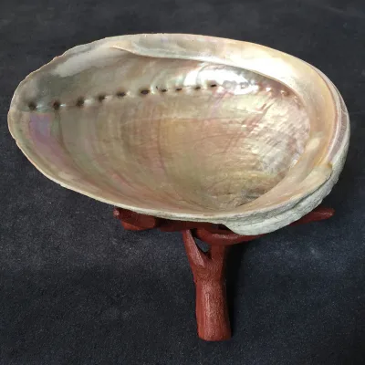 Australian White Abalone Shell Conch Creative Home Decoration Burning Sage Container Ornamental Fish tank Potted Decoration